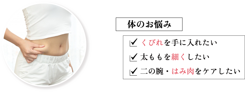 体のお悩み,くびれを手に入れたい,太ももを細くしたい,二の腕・はみ肉をケアしたい